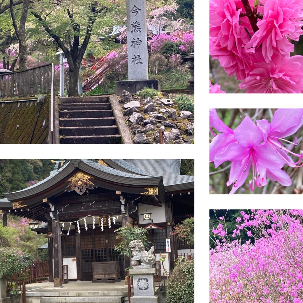 東京都八王子市の今熊山とミツバツツジ、今熊神社