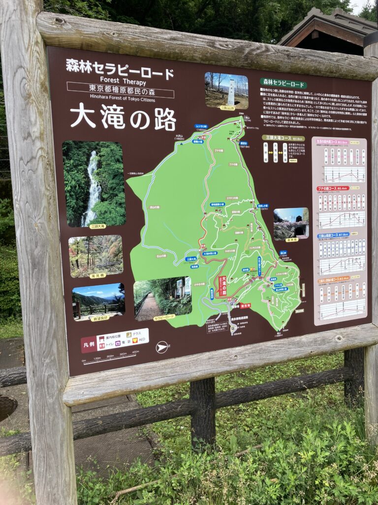 
森林セラピーロードに認定されている大滝の路の看板