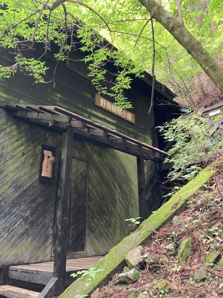 野鳥観察小屋